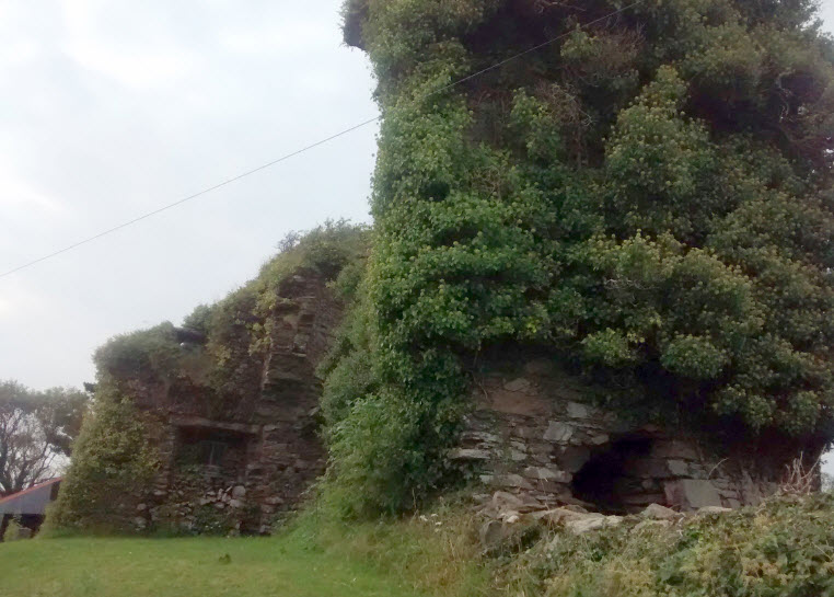 Rossmore Castle Ruins, Republic of Ireland, Ireland